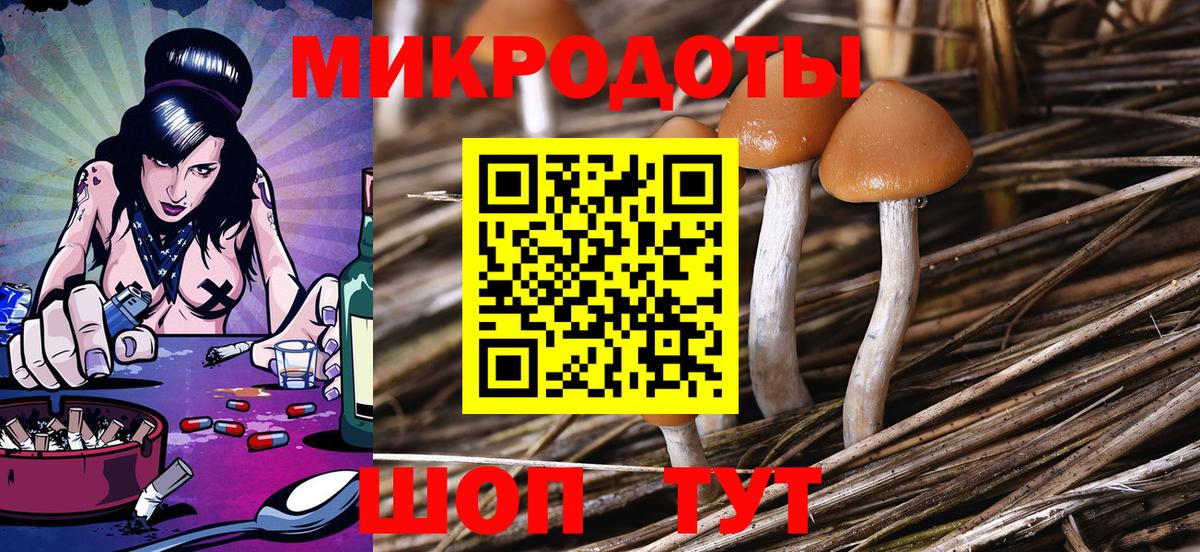 Псилоцибиновые грибы мицелий Кашира
