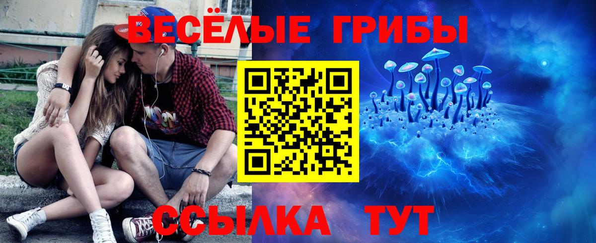 Кашира  Галлюциногенные грибы Magic Shrooms  Вход с VPN 